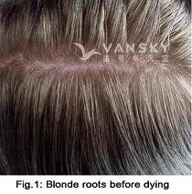 250403110936_Hair-Before Dying-s.jpg